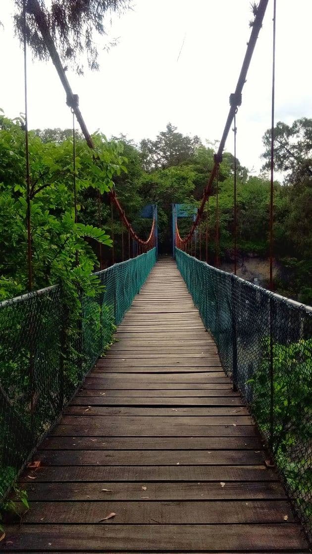 Place Salto de Tzumpantitlán