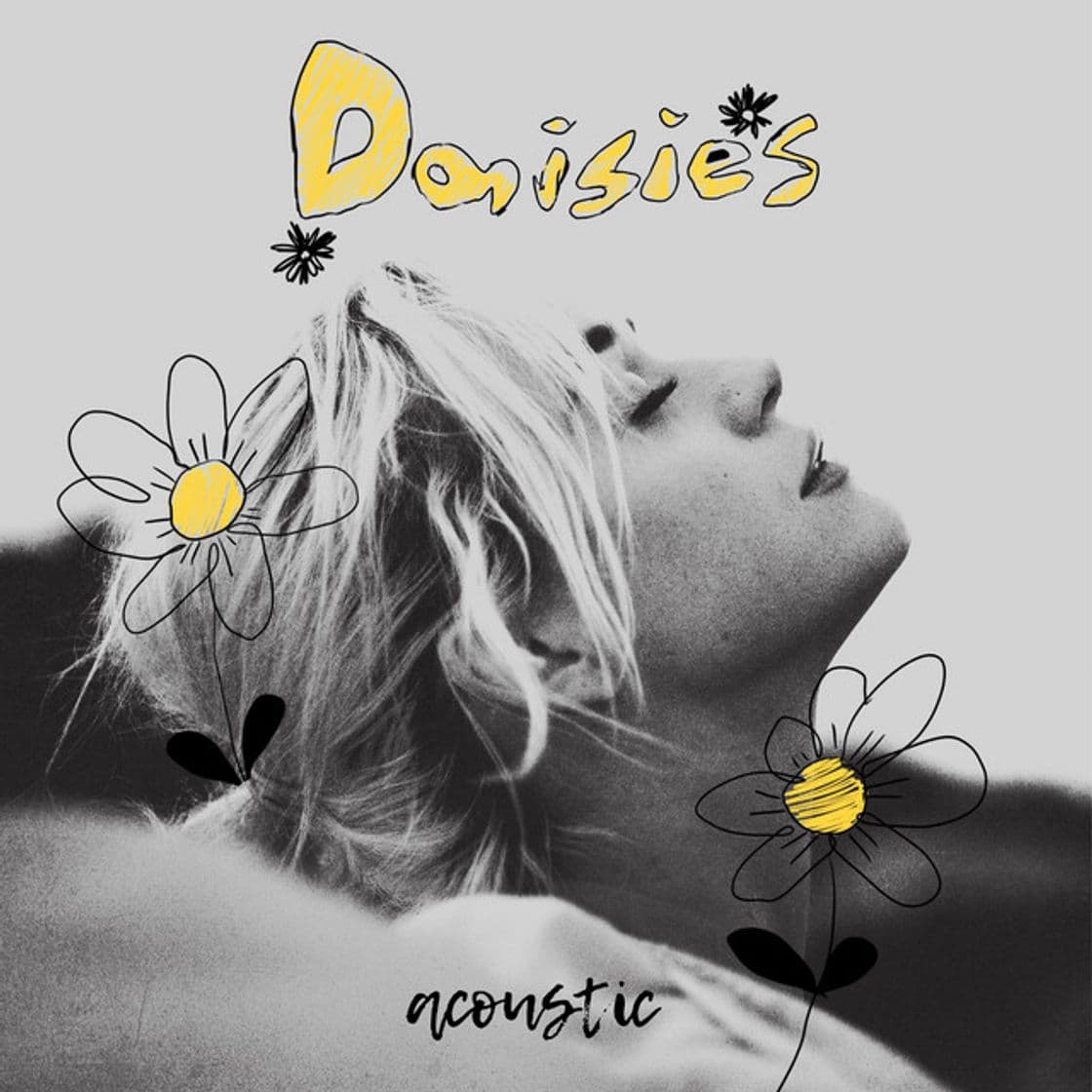 Canción Daisies - Acoustic