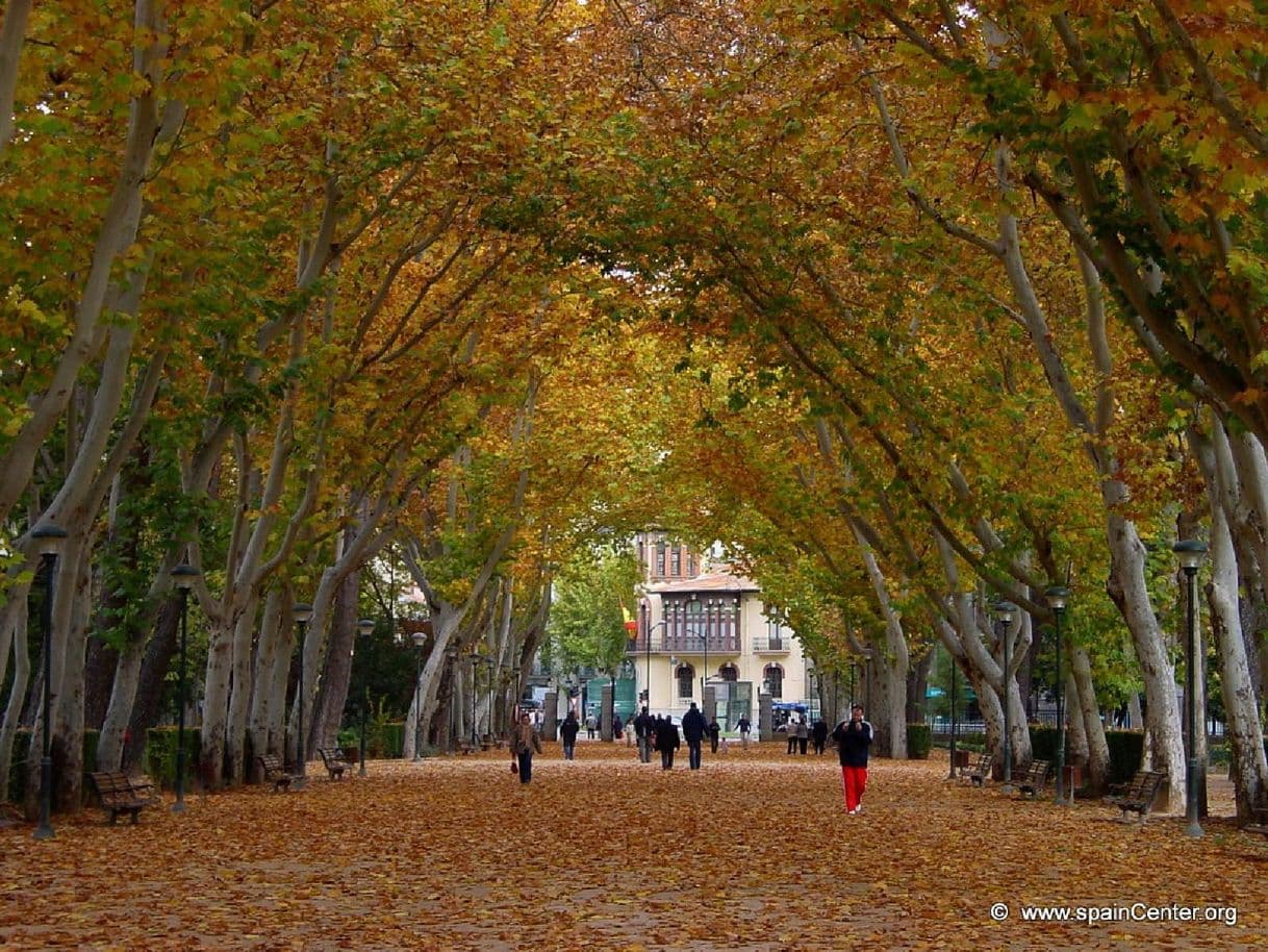 Place Parque Urbano Abelardo Sánchez