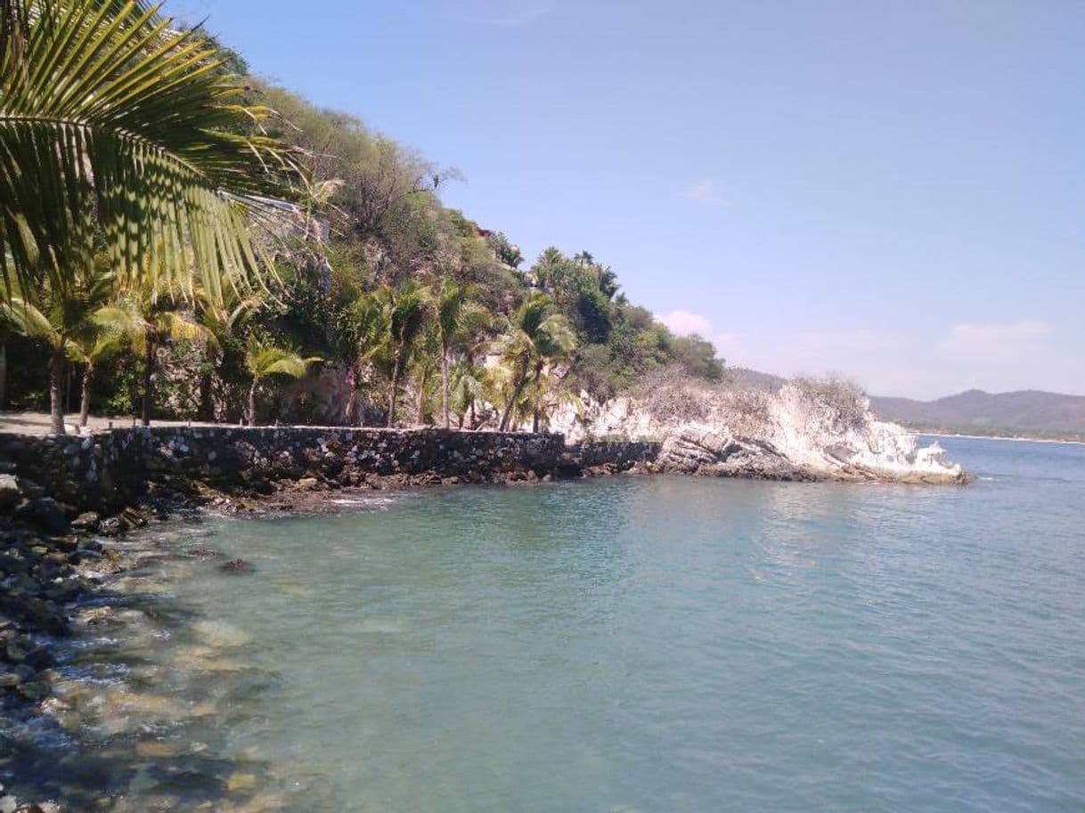 Place Ixtapa-Zihuatanejo