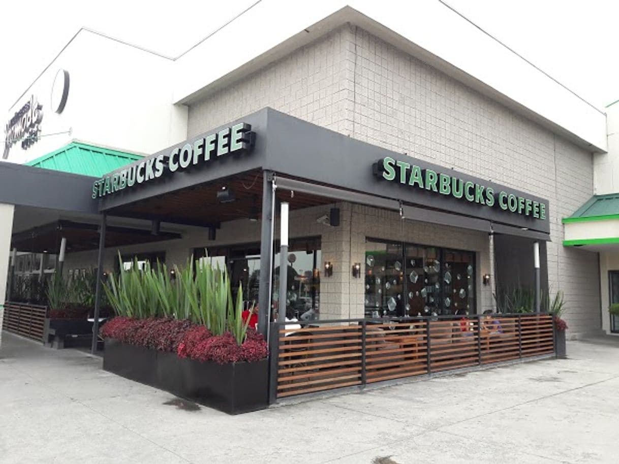 Restaurants Starbucks Mega Izcalli