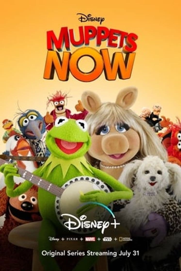 Serie Muppets Now