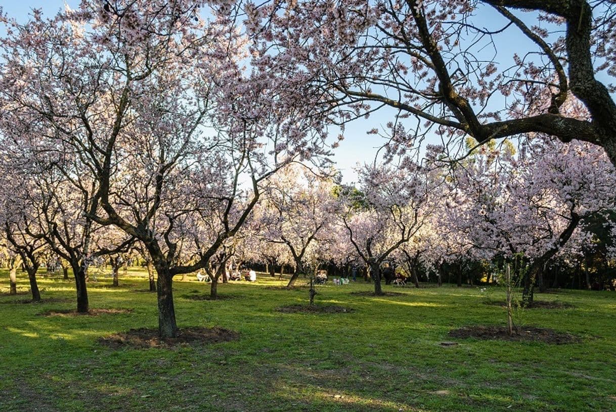 Lugar Parque de la Quinta de los Molinos