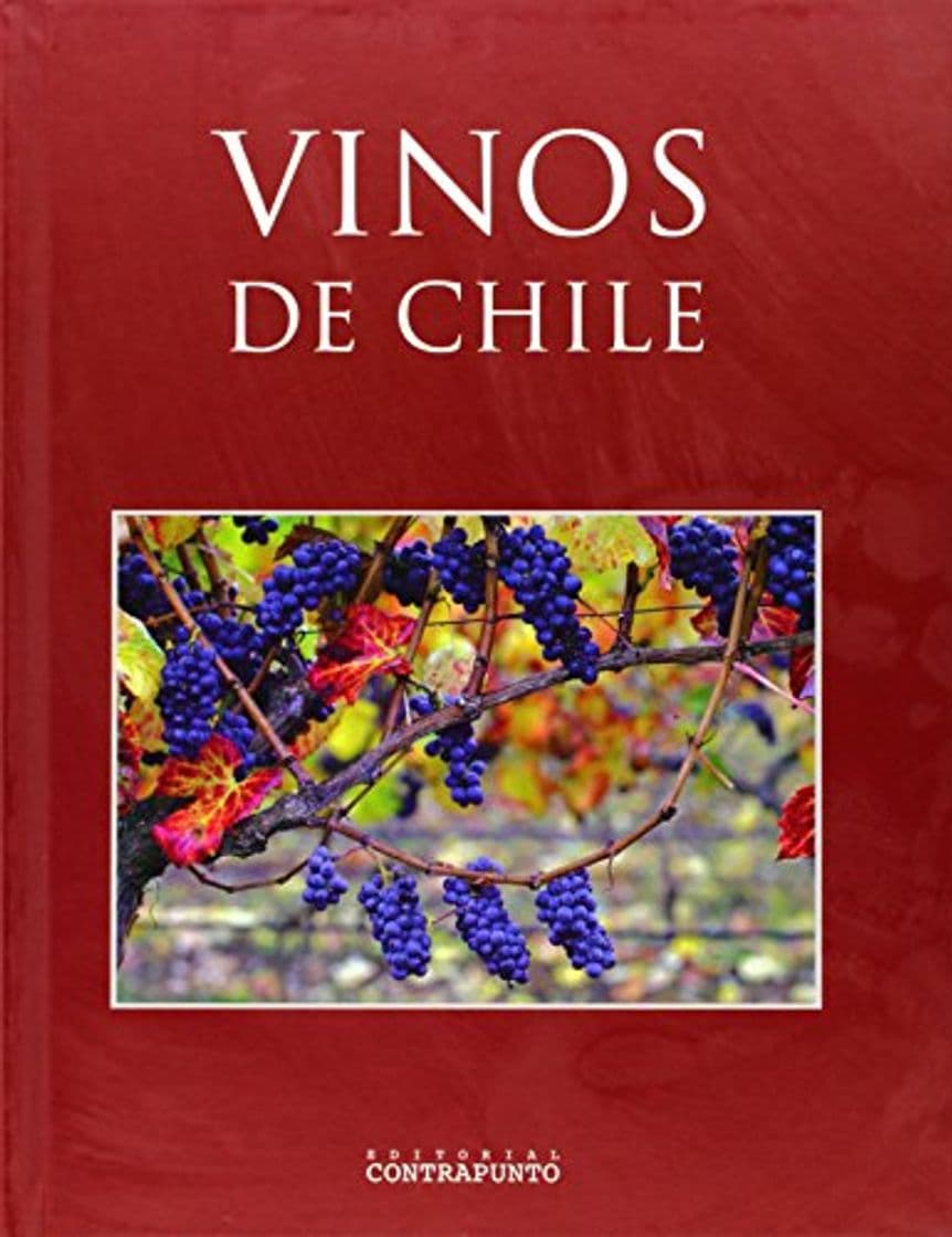 Book Vinos De Chile