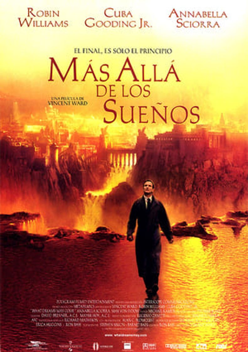 Película What Dreams May Come