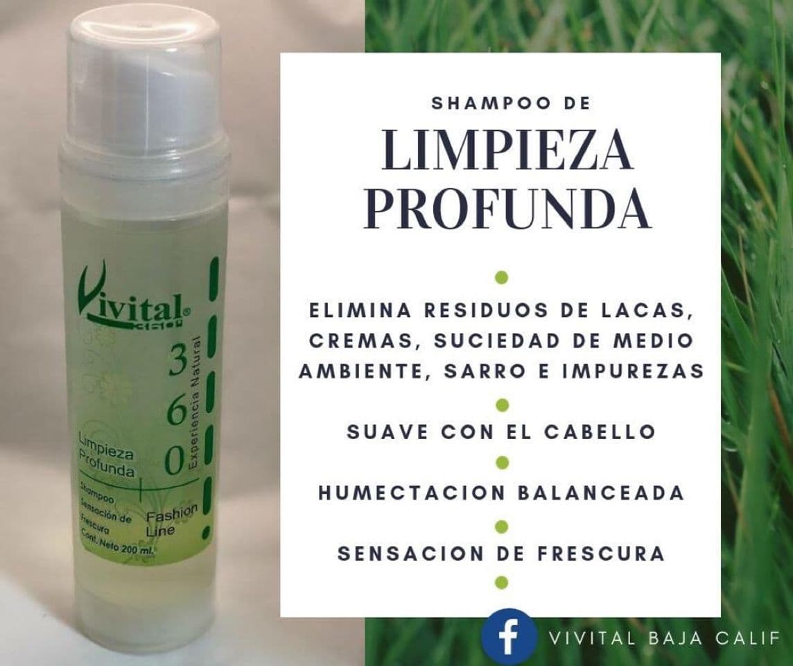 Moda Shampoo Limpieza Profunda 🌿💆🏻‍♀️