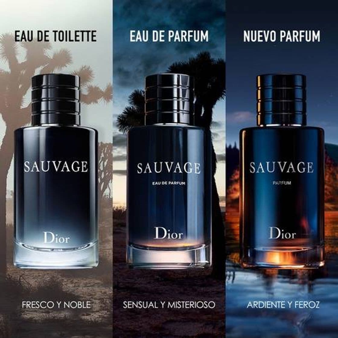 Fashion Perfume Sauvage de Dior. 