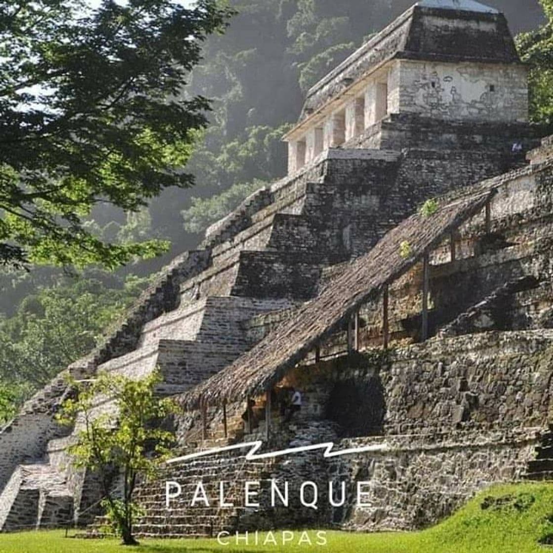 Lugar Palenque