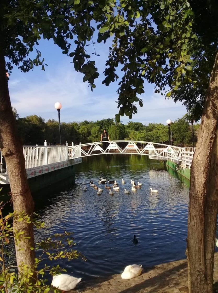 Place Parque Culiacan 87