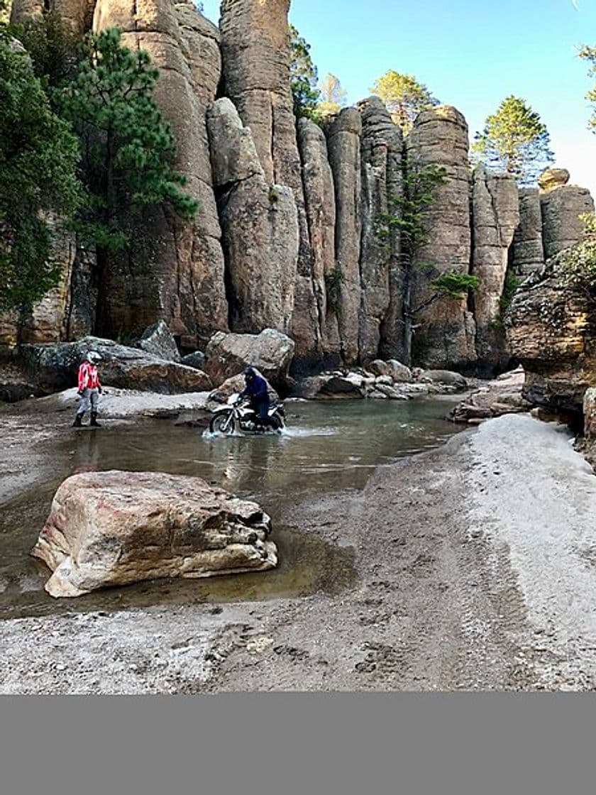 Place Parque Nacional Cumbres de Majalca