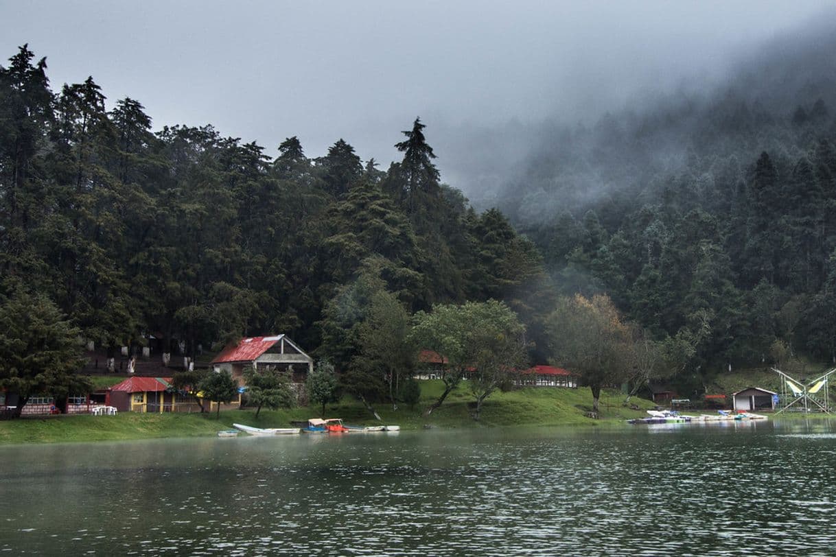 Place Presa el Cedral