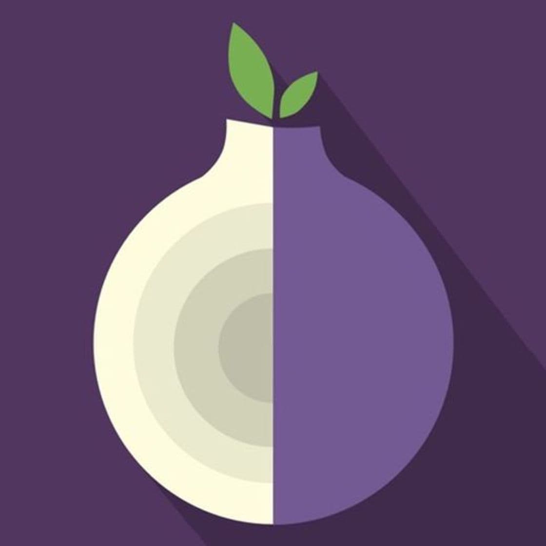 App Tor Browser + Private Browser