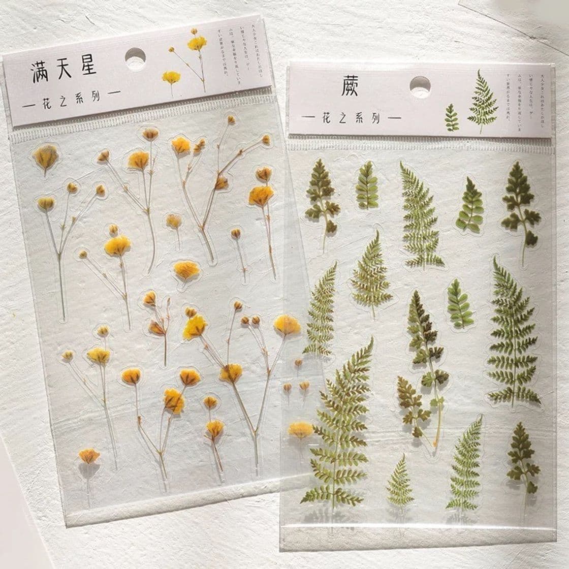 Product Nature Notebook Stickers