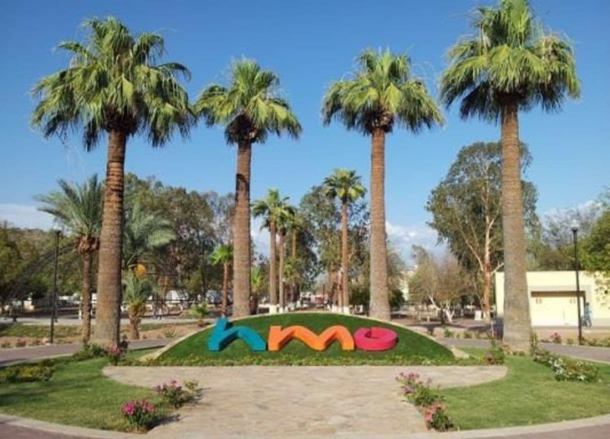 Place Parque Madero