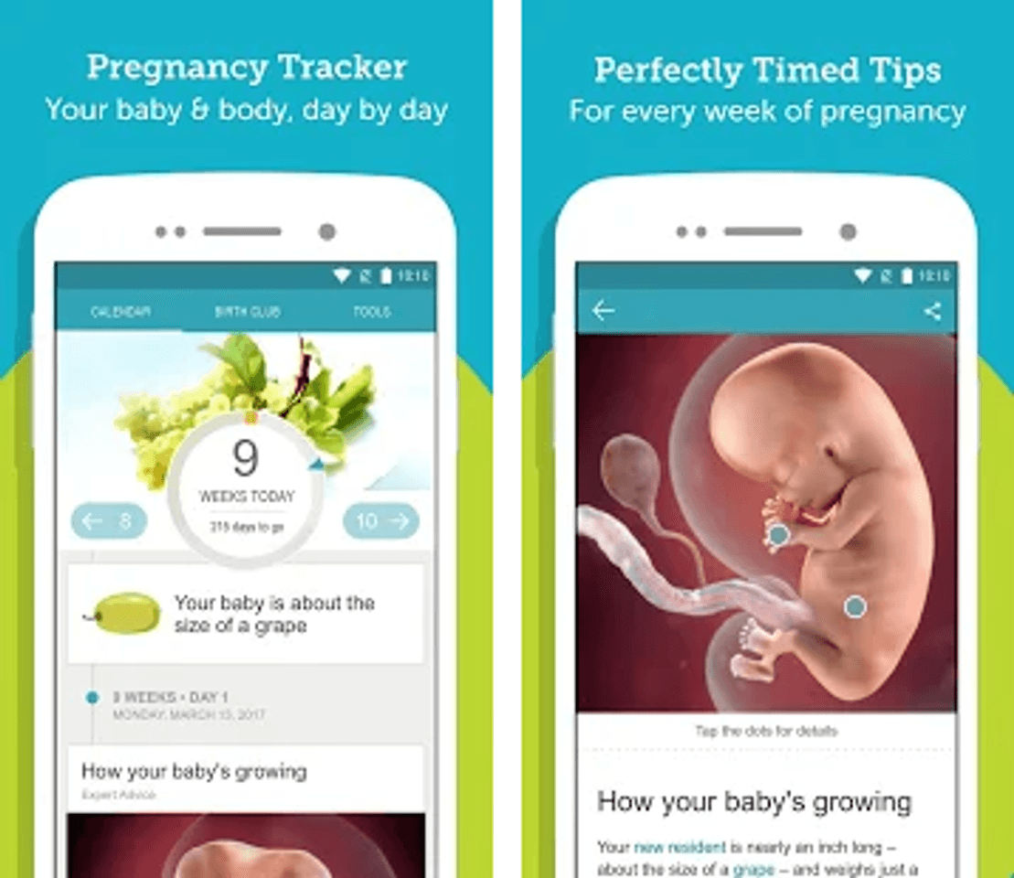 App Pregnancy Tracker + Countdown to Baby Due Date 