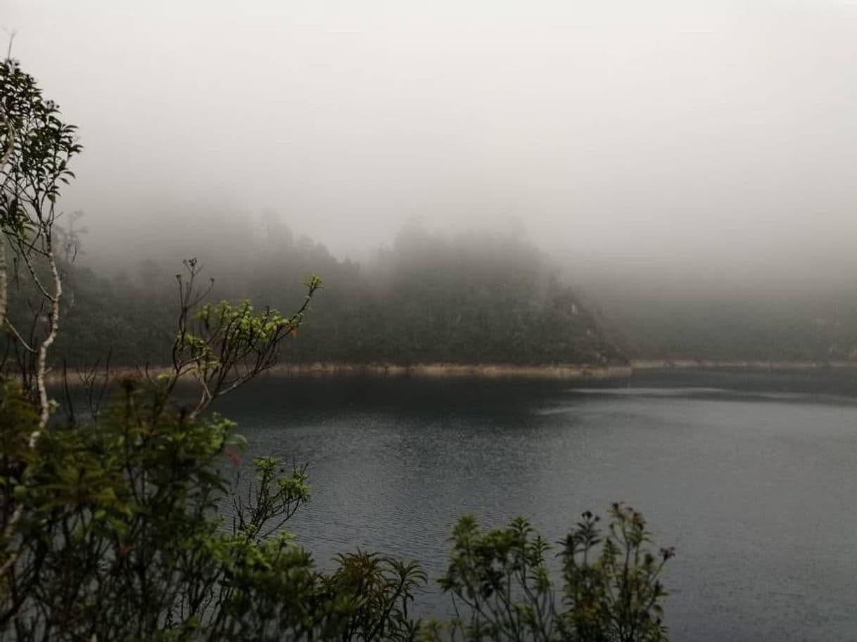 Lugar A Los Lagos de Montebello