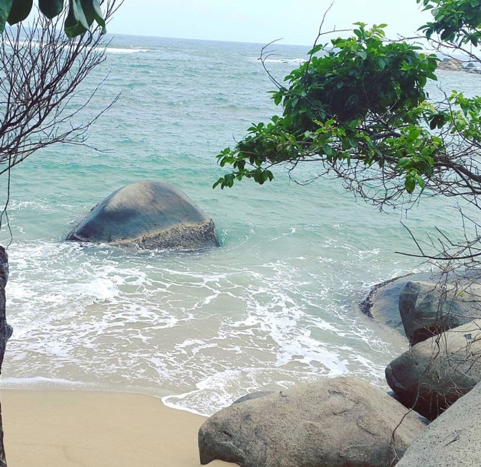 Lugar Tayrona National Park