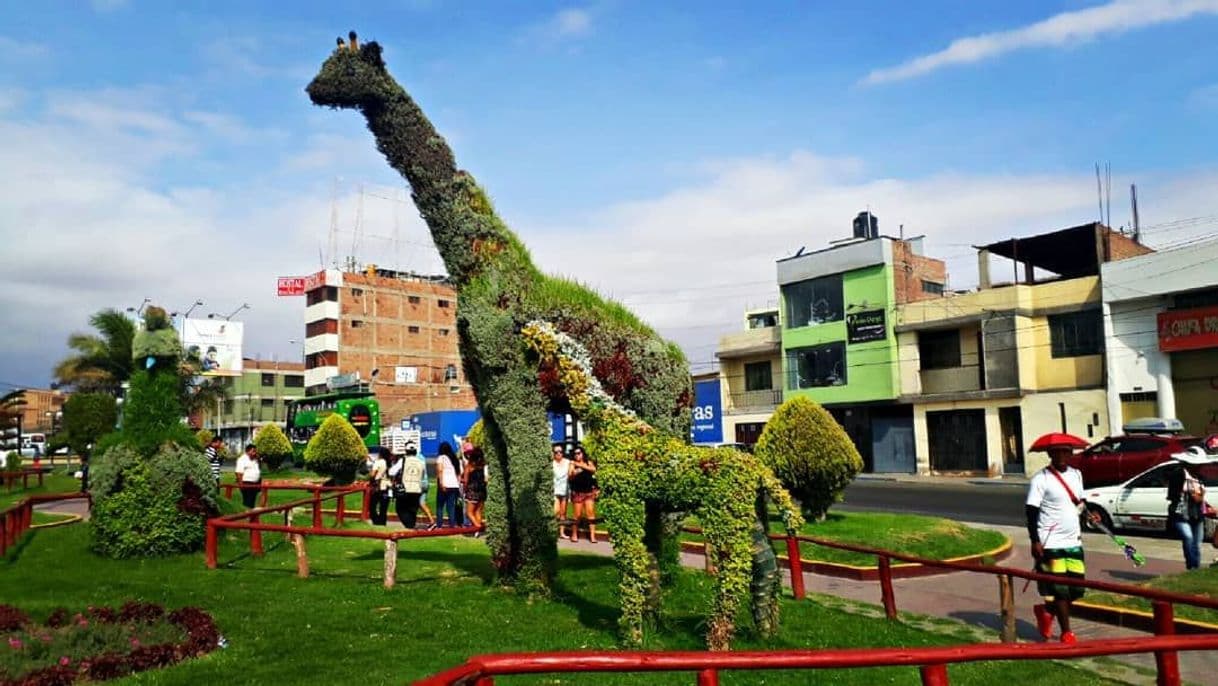 Place Tacna Peru