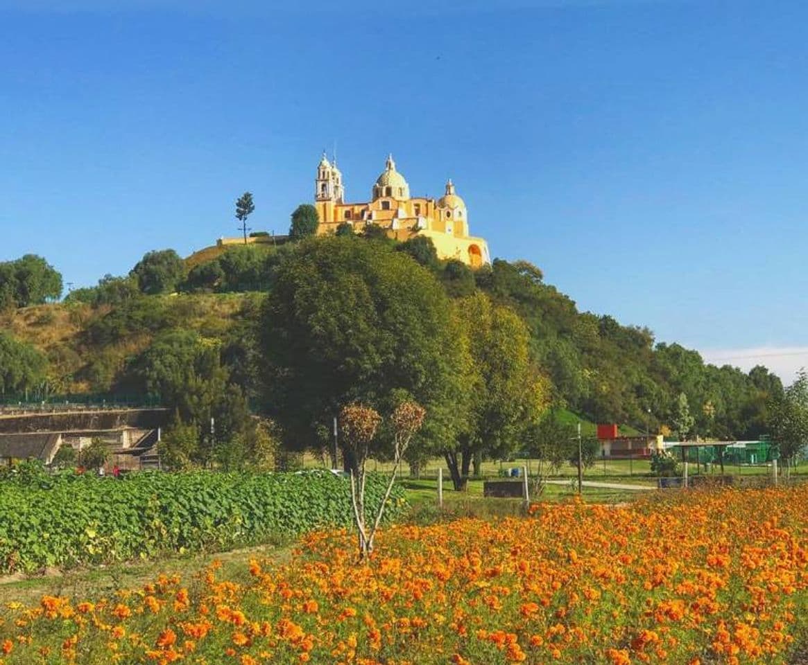 Place Cholula, Puebla