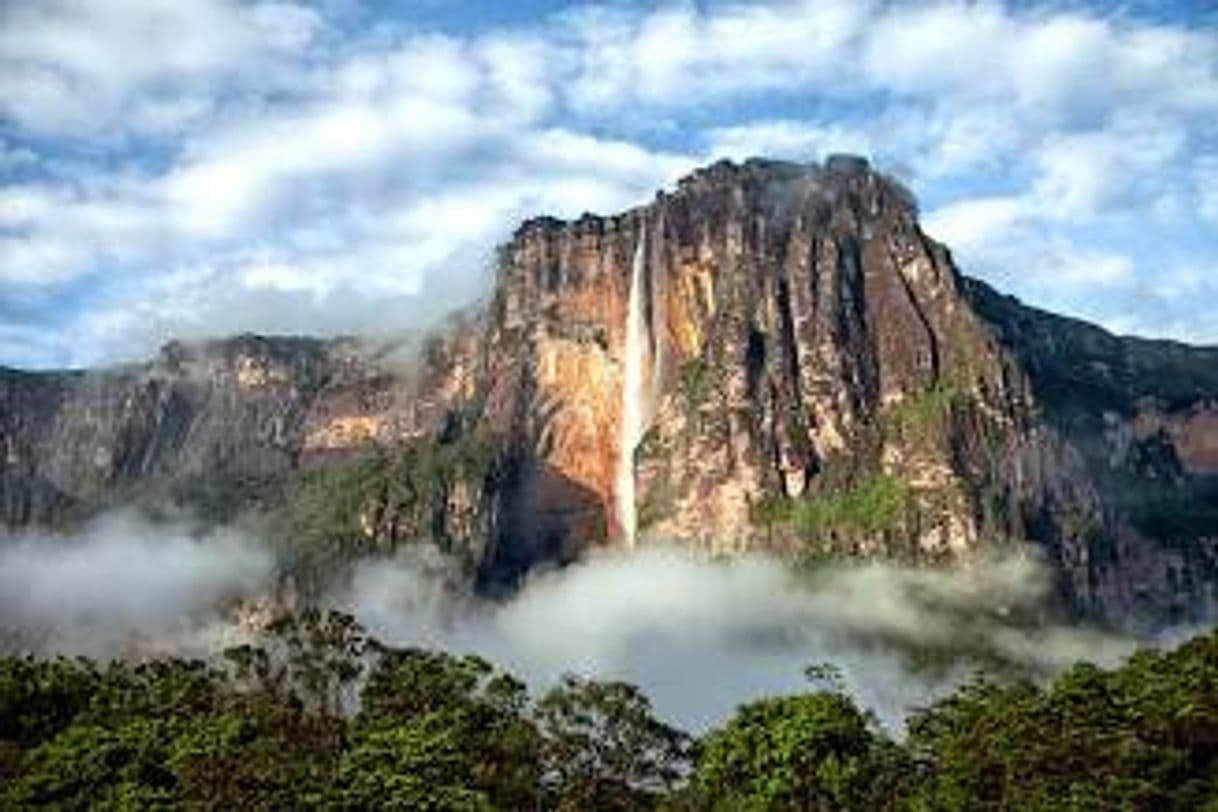 Lugar Parque Nacional Canaima