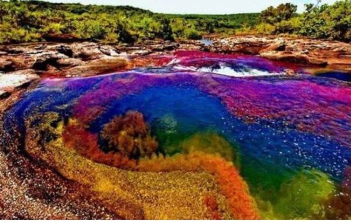 Lugar Caño Cristales