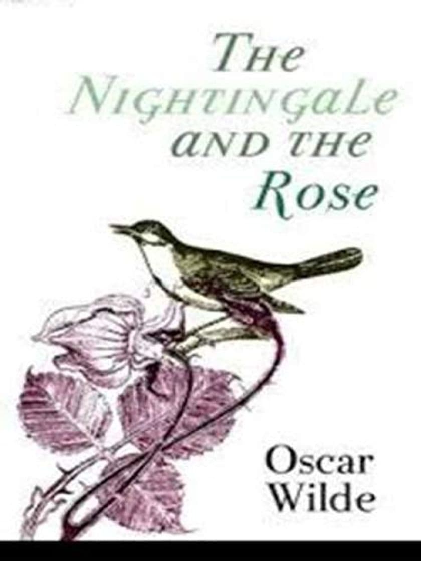 Libro The Nightingale And The Rose