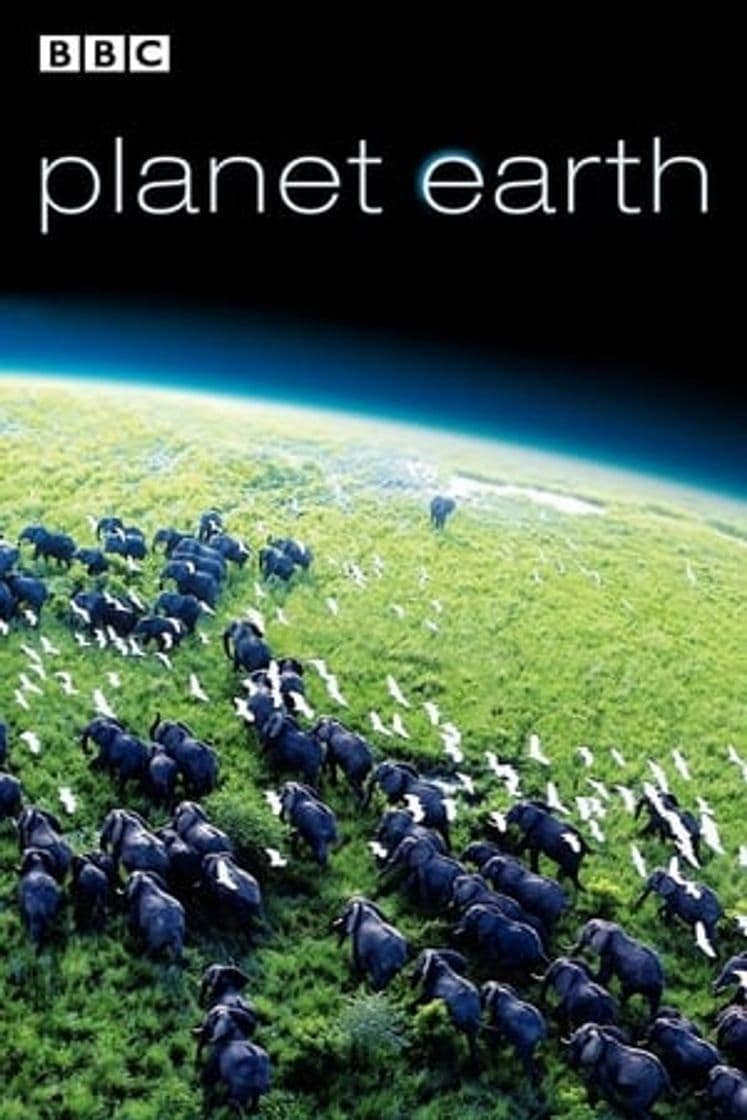 Serie Planet Earth