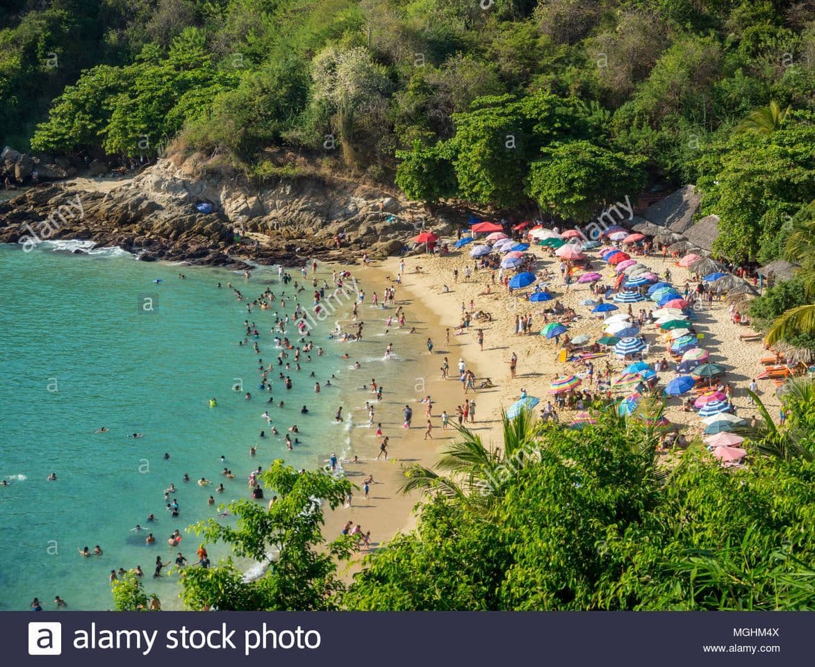 Place Puerto Escondido