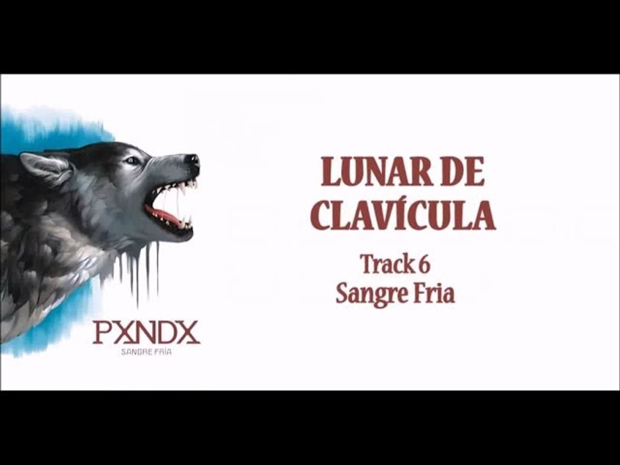 Canción Lunar De Clavícula - panda