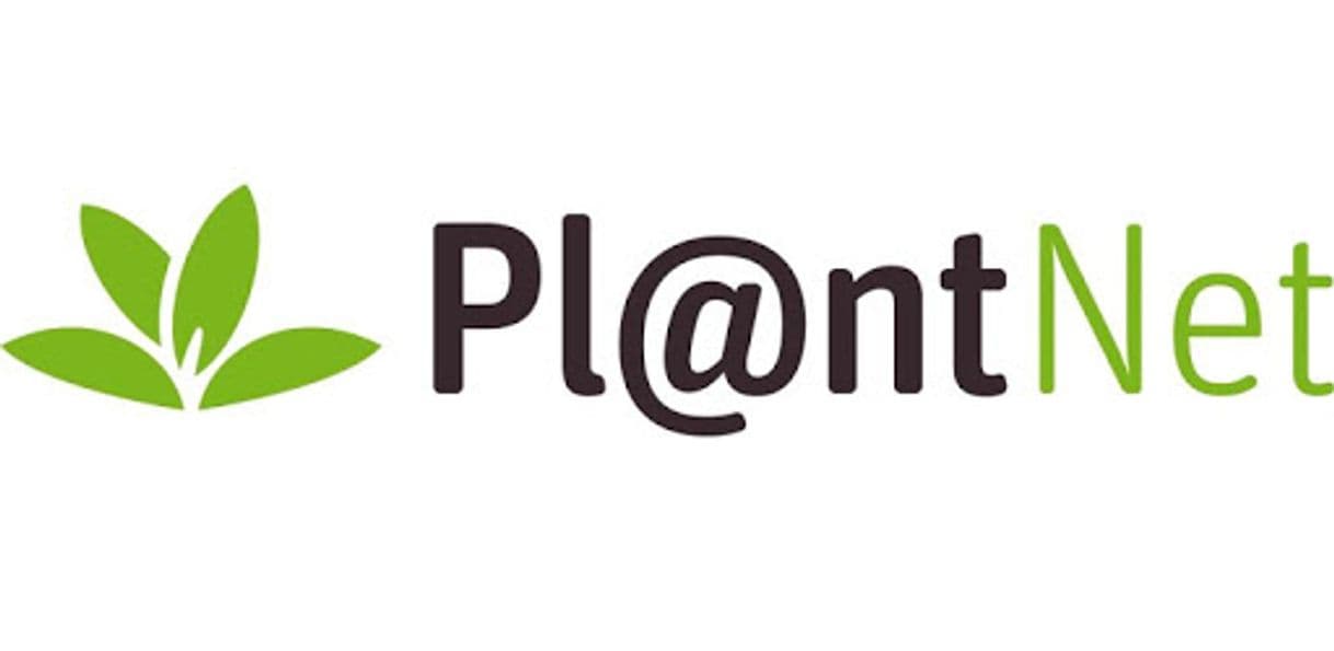 Fashion PlantNet Plant Identification - Apps on Google Play