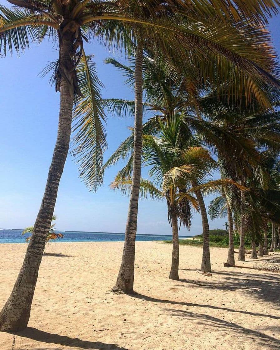 Lugar Parque Nacional Morrocoy