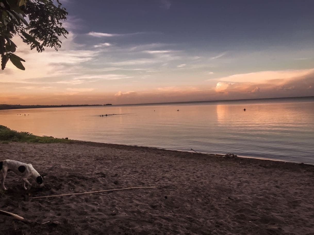 Place Isla de Ometepe