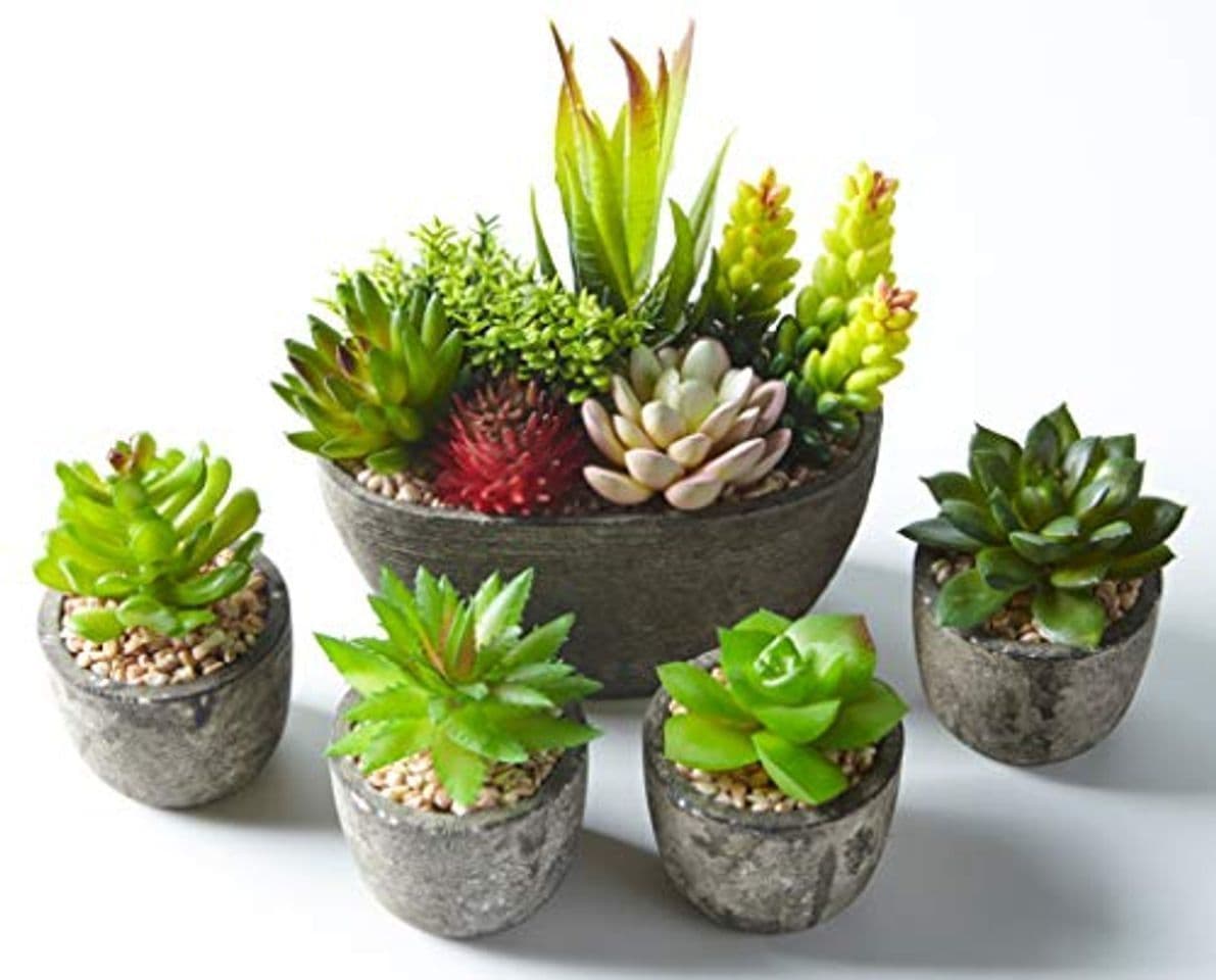 Producto Jobary 5pcs Plantas Suculentas Artificiales Falso Plantas Decorativas Suculentas，Ideal para el Hogar