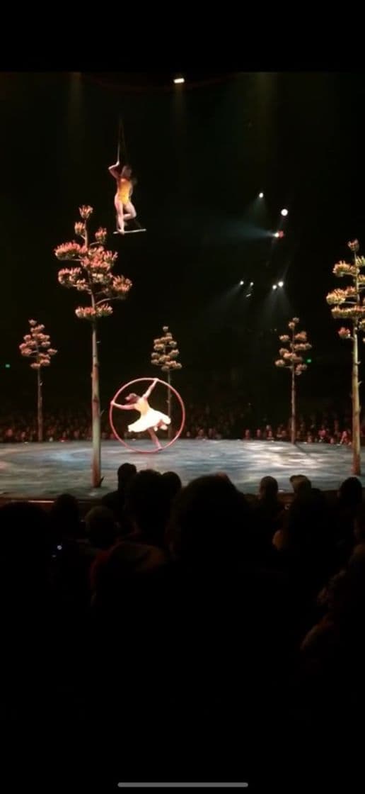 Lugar Cirque du Soleil