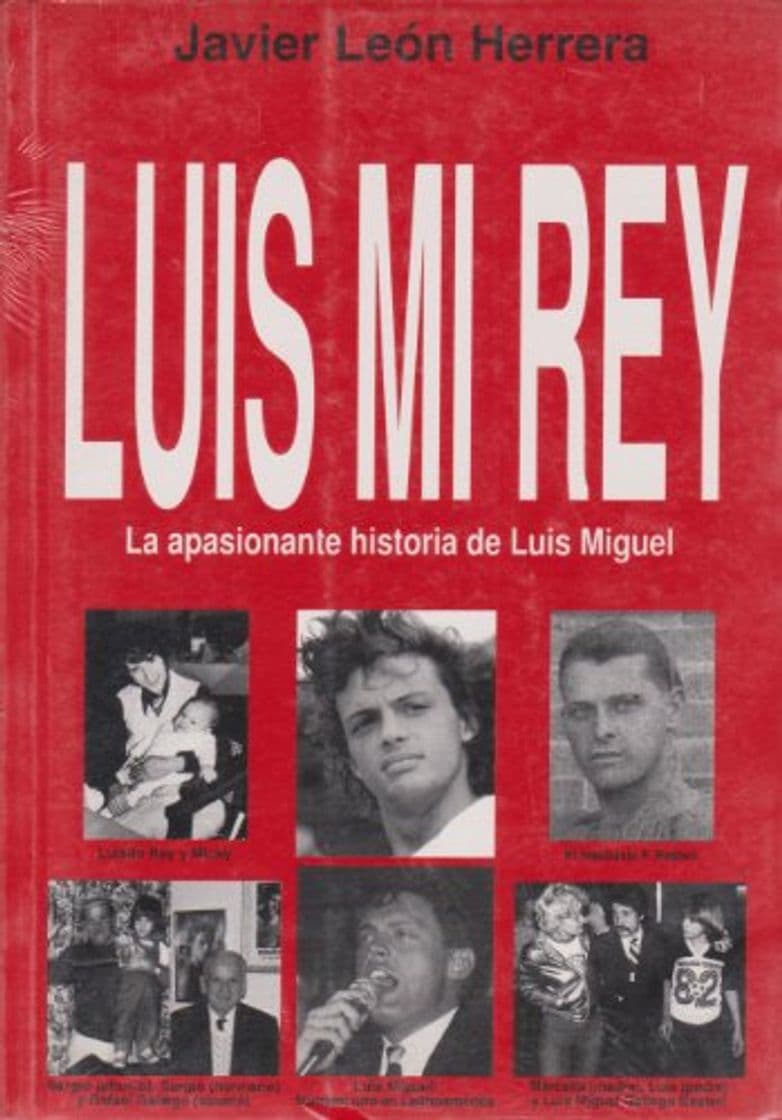 Libro Luis Mi Rey