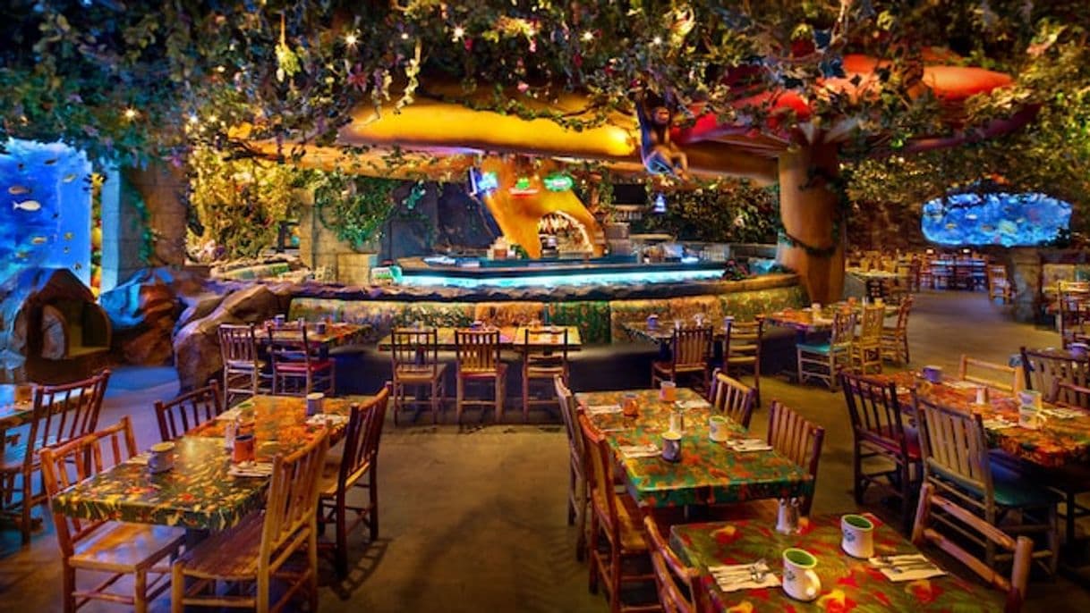 Restaurants Rainforest Cafe