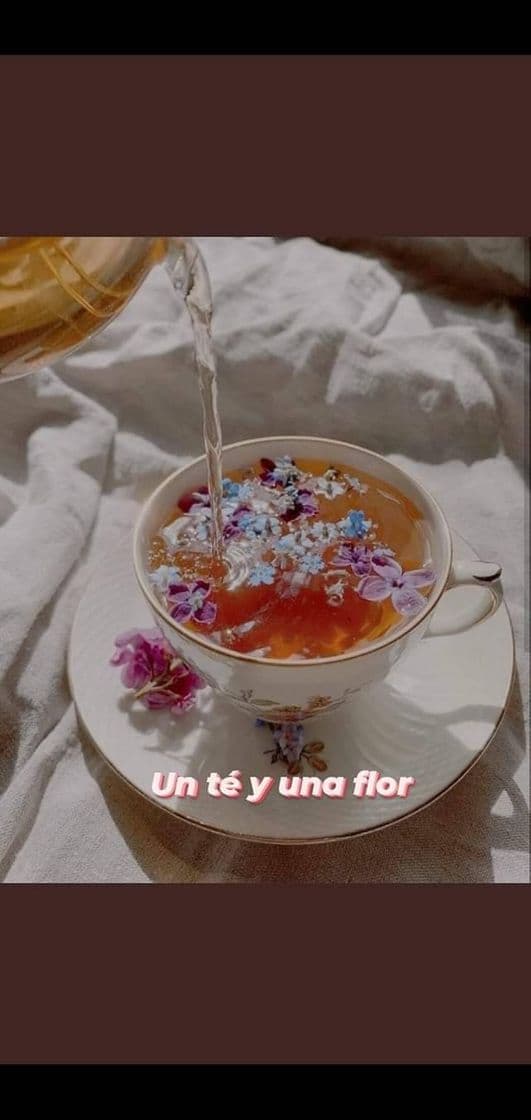 Moda Un té y una flor 