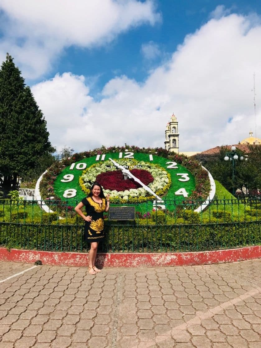 Place Zacatlan de las manzanas