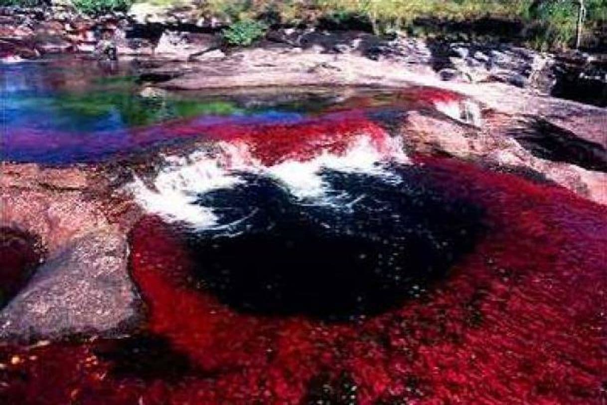 Place Caño Cristales