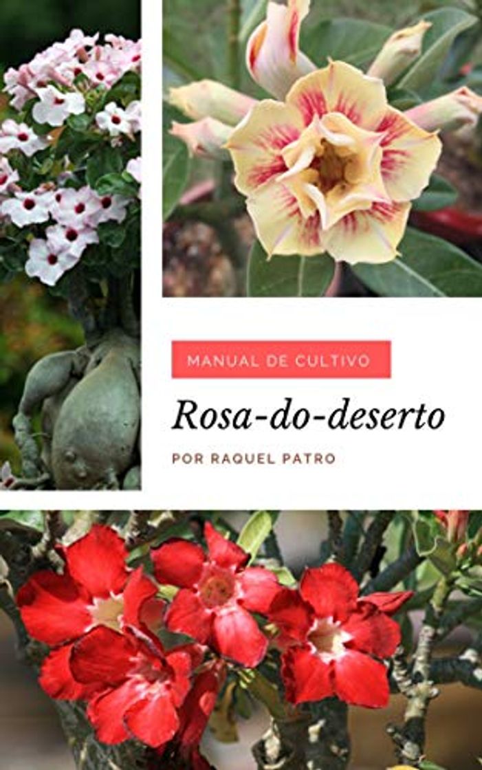 Book Manual de Cultivo: Rosa-do-deserto