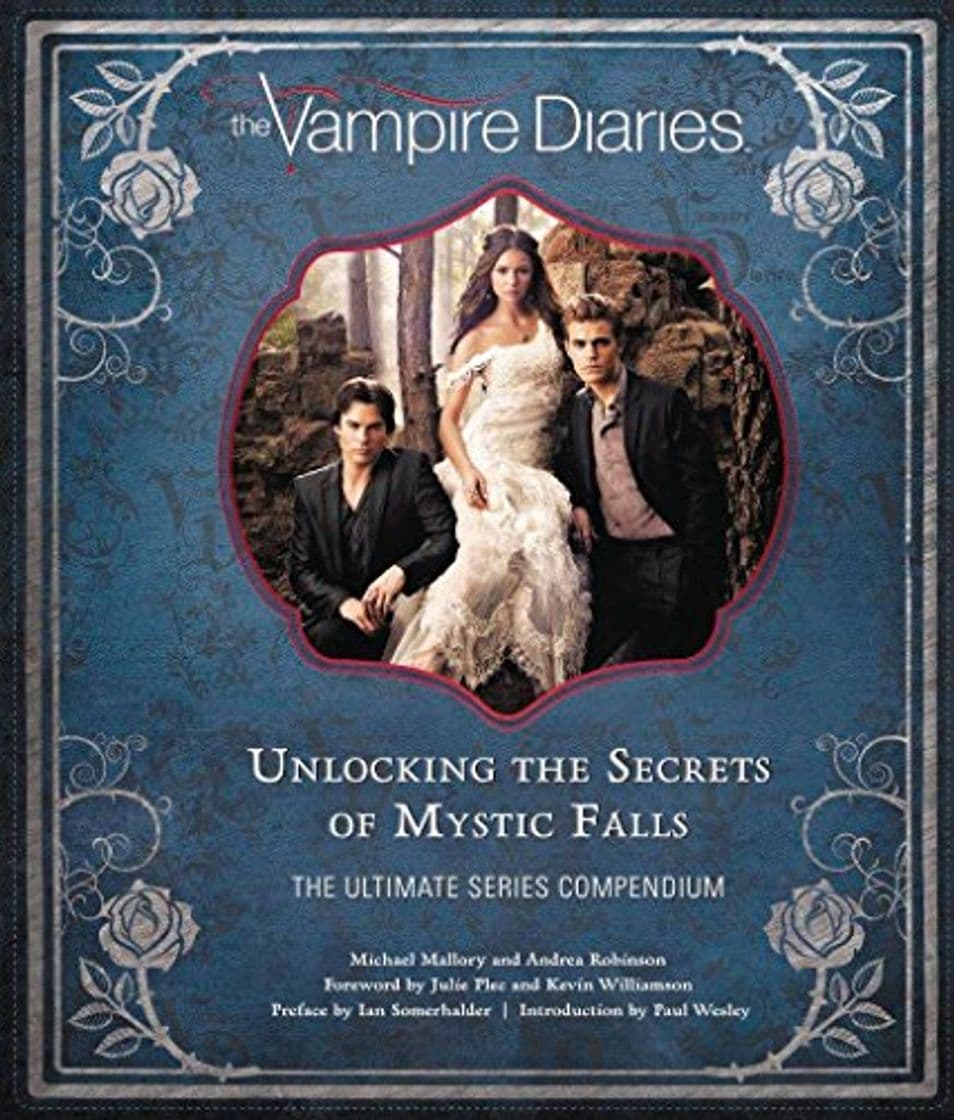 Libro Vampire Diaries