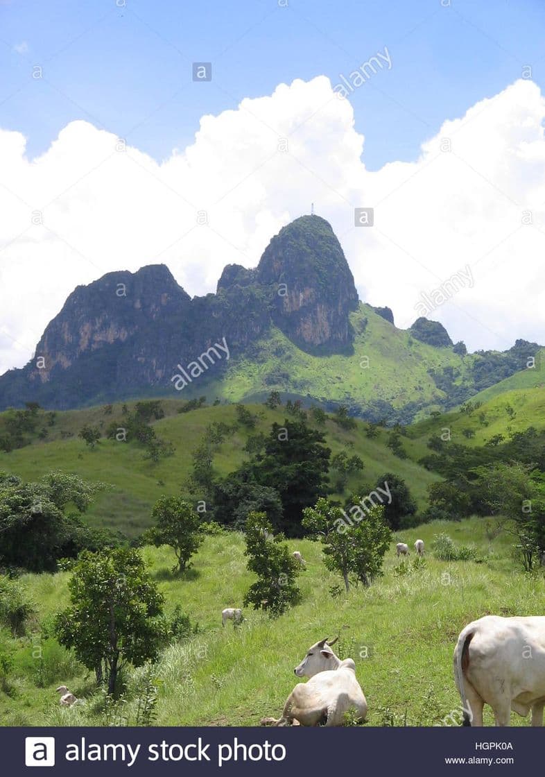 Place San Juan de Los Morros