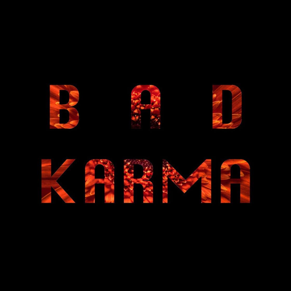 Music Bad Karma (Radio Edit)