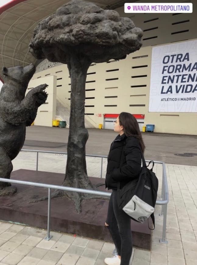 Lugar Wanda Metropolitano