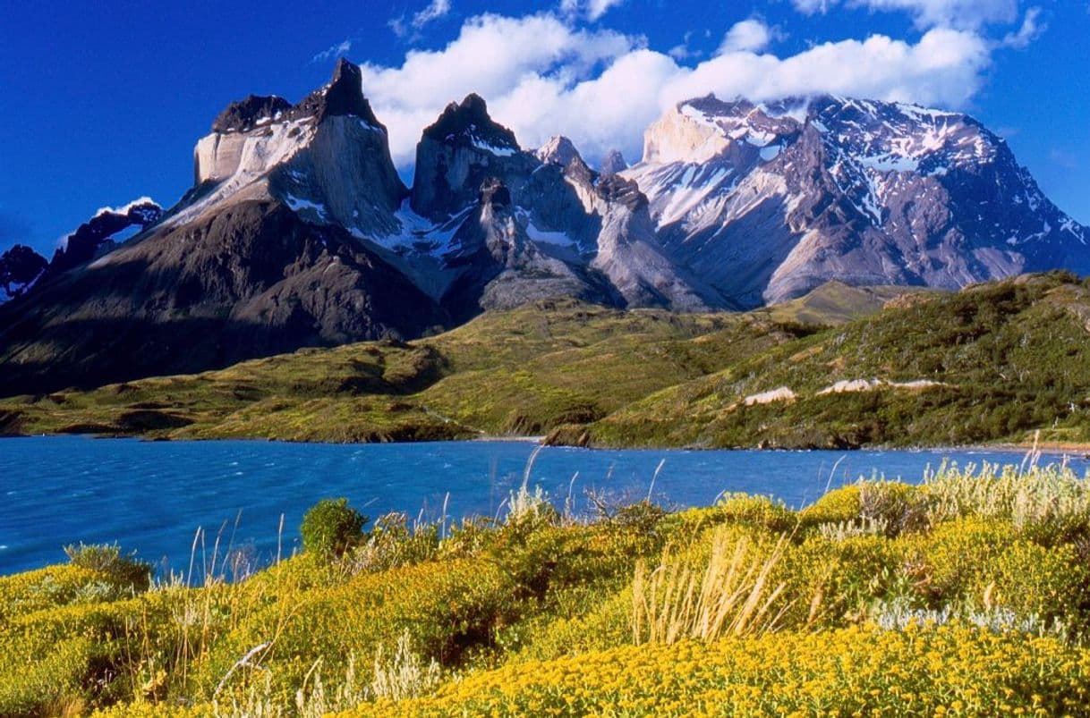 Place Torres del Paine