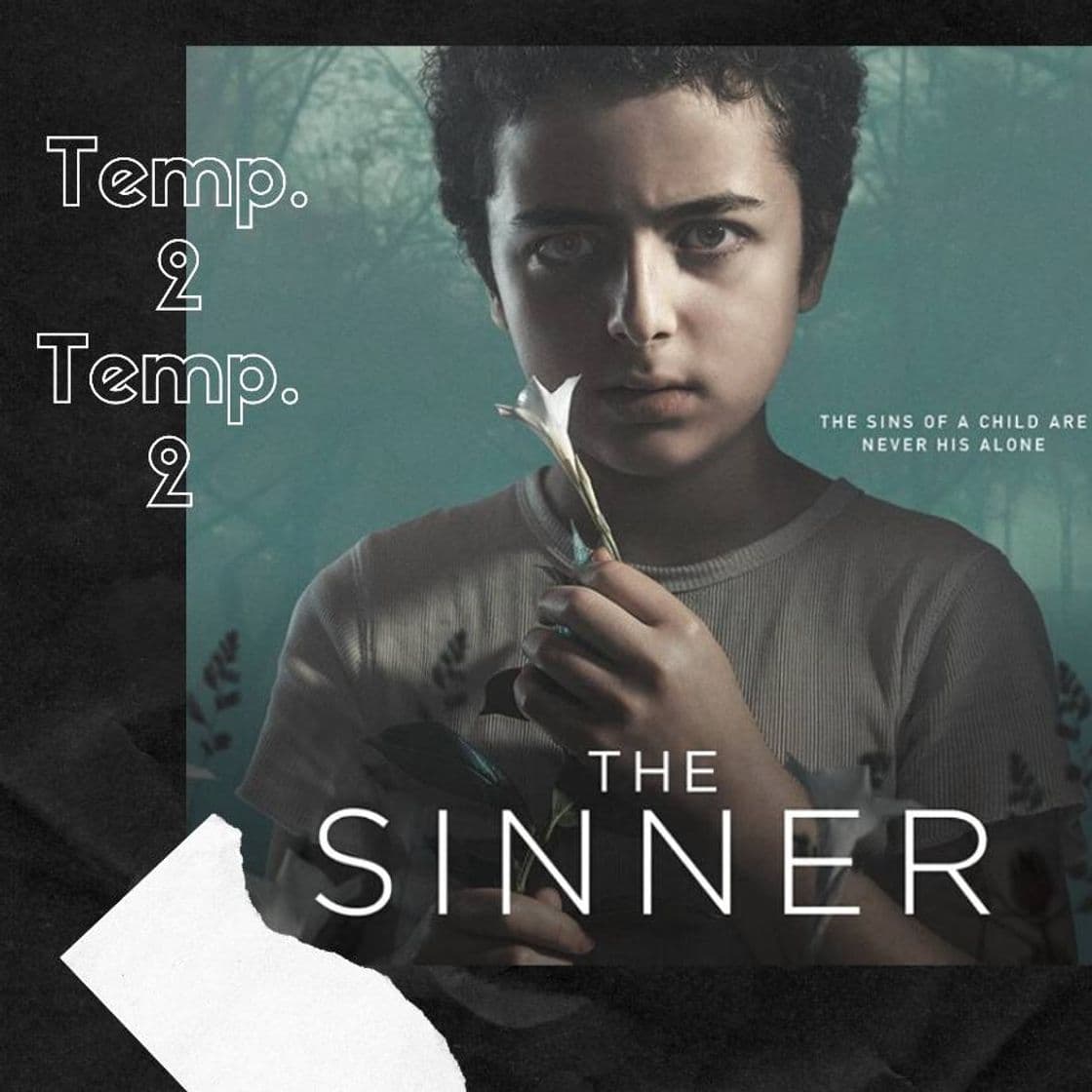 Serie The Sinner