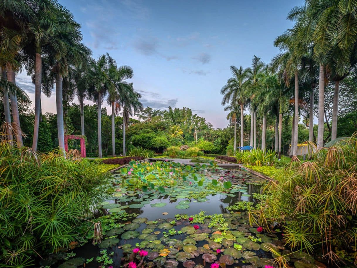 Lugar Jardín Botánico Culiacán