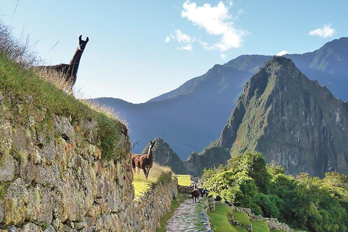 Place Perú Machupicchu Treks