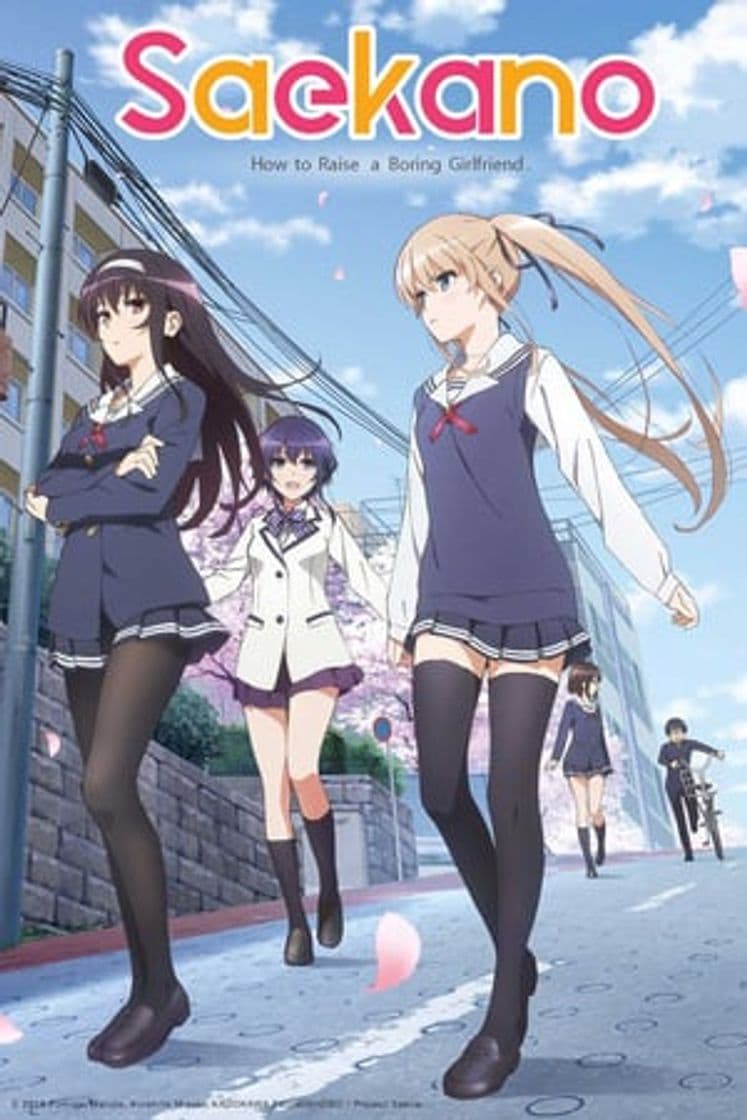 Serie Saekano: How to Raise a Boring Girlfriend