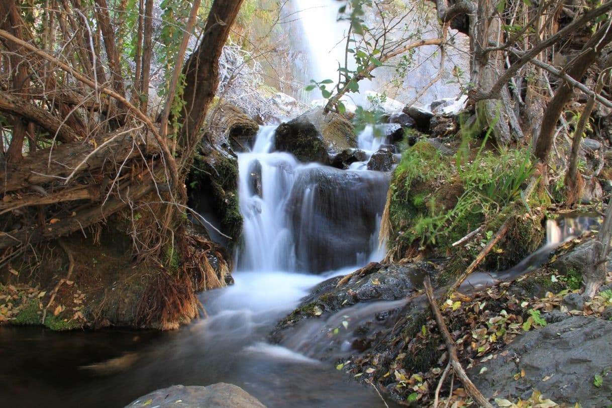 Lugar San Carlos de Apoquindo